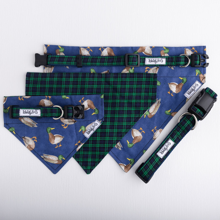 Mallard and plaid dog set with bandana and collars.