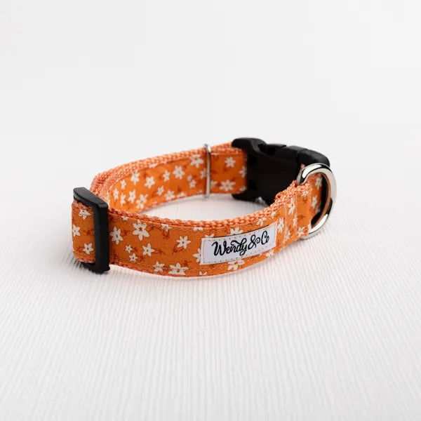 An orange woven dog collar with a white floral pattern, featuring black plastic hardware and a white brand label that reads 'Worth 80%'.