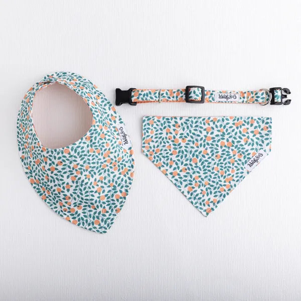 Orchard Days Baby Bib