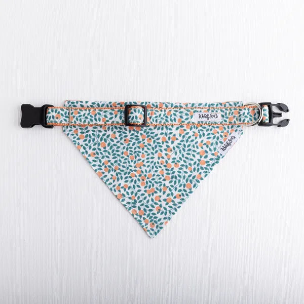 Orchard Days Dog Collar
