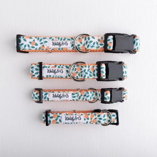 Orchard Days Dog Collar