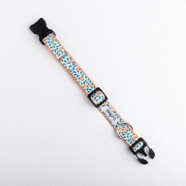 Orchard Days Dog Collar