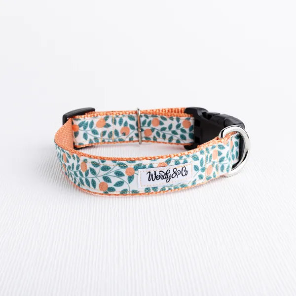 Orchard Days Dog Collar