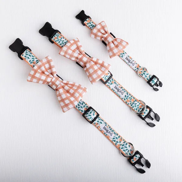 Orchard Days Pet Bow Tie