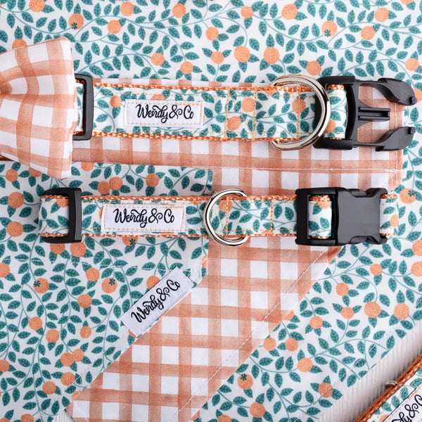 Orchard Days Dog Bandana