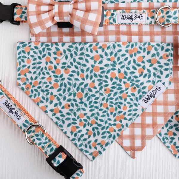 Orchard Days Dog Bandana