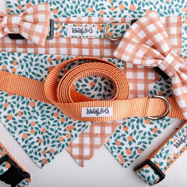 Orchard Days Dog Bandana