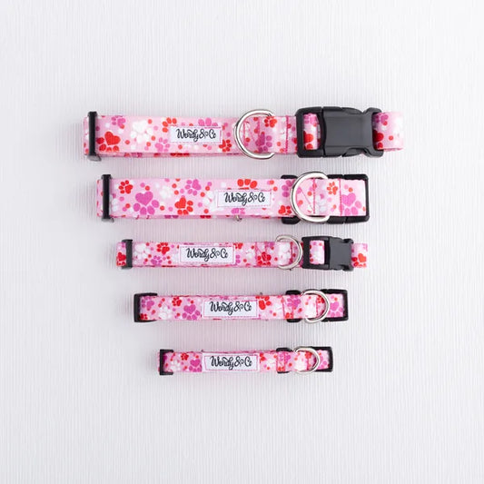 Pink paw collar in extra small to large.