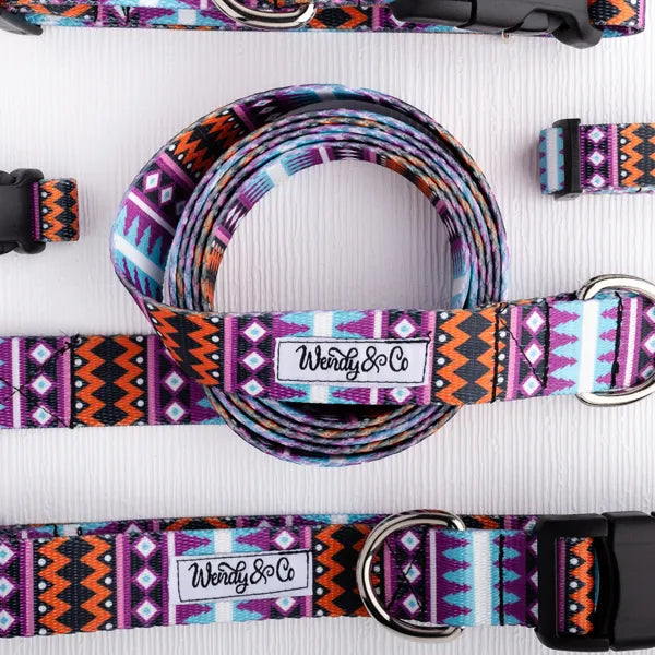 Amethyst Horizon waterproof leash and collar in purple orange and black.