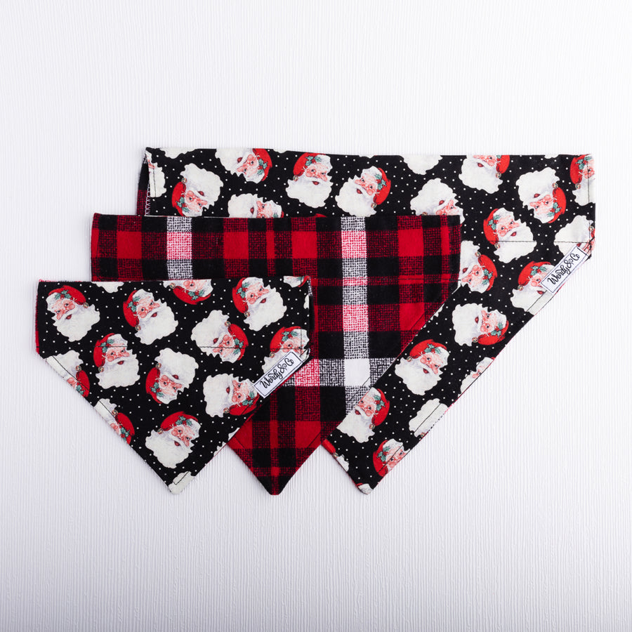 Santa Dog Bandana + Cozy Plaid