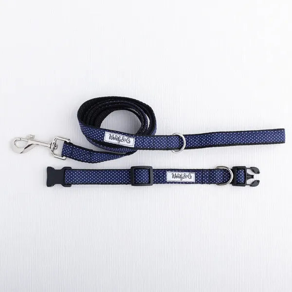 Oxford dot walking set with leash and collar.