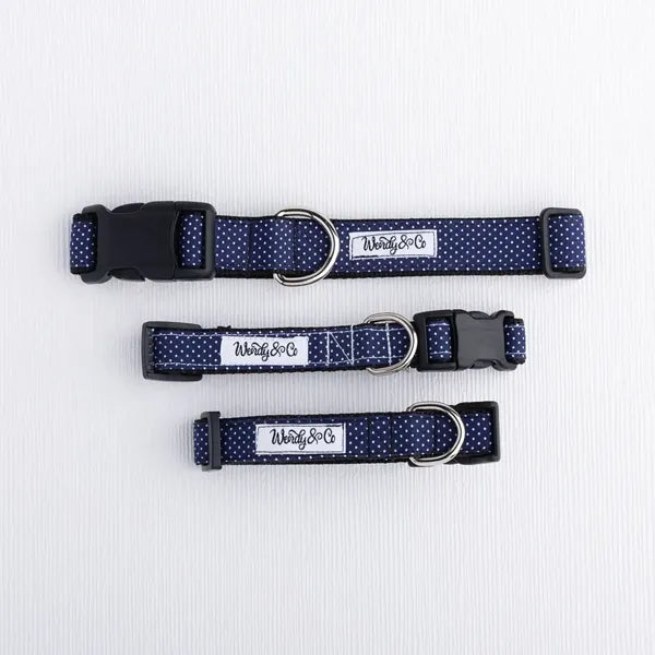 Oxford Dot collar in small, medium and large.