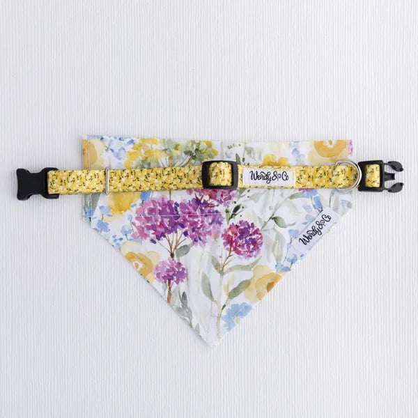 Spring floral dog collar with over the collar bandana.