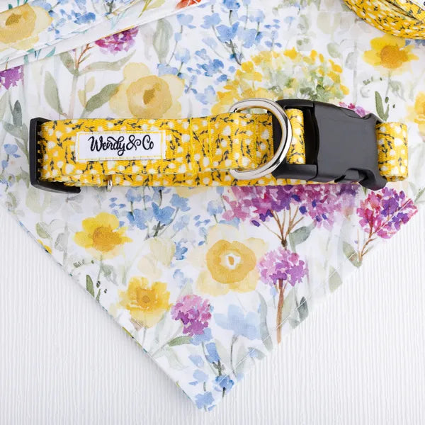 Extra small dog collar, waterproof, yellow floral.