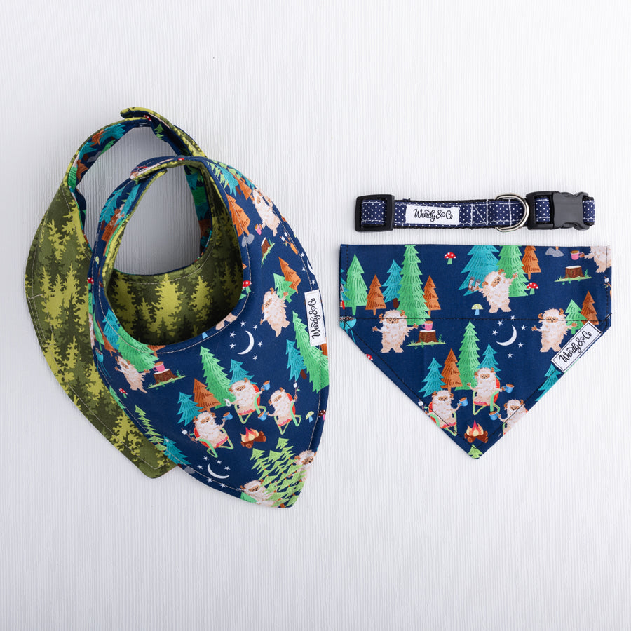 Under the stars matching baby and pet bandanas.