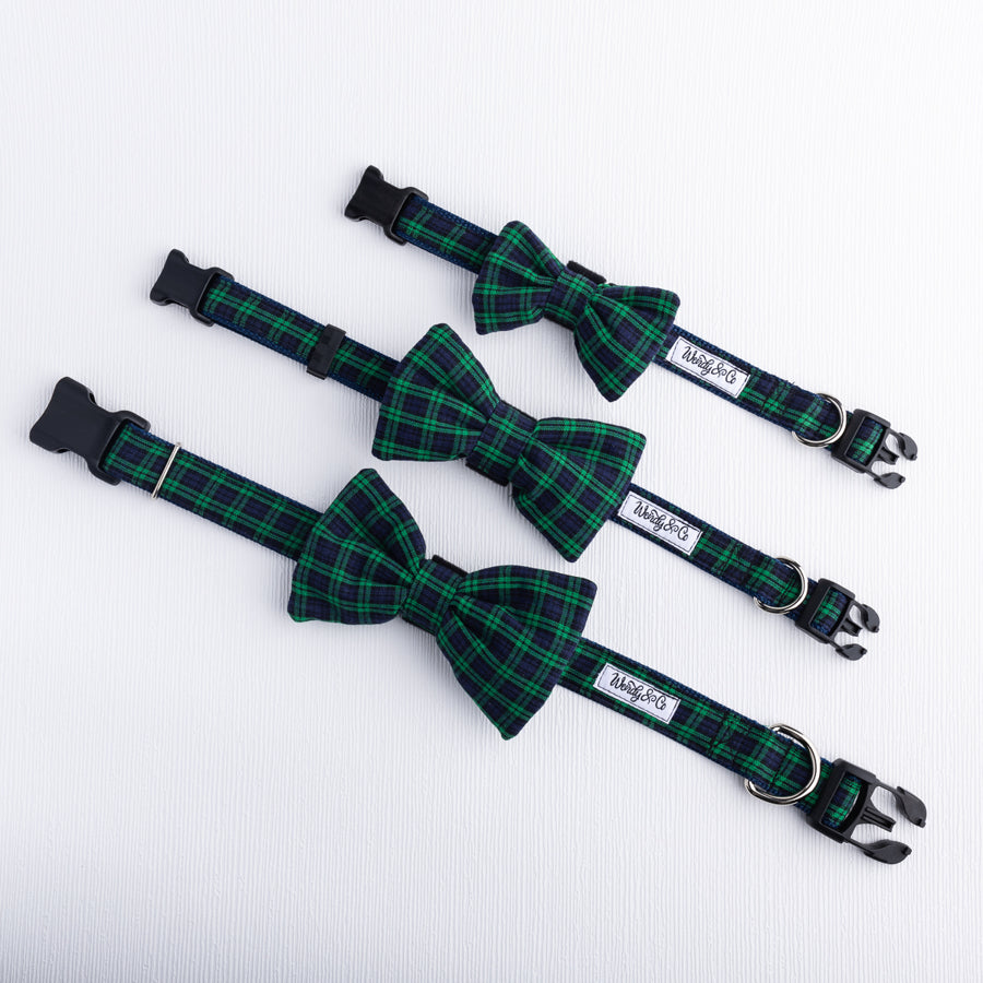 Highland Hues Pet Bow Tie