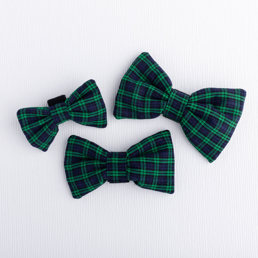 Highland Hues Pet Bow Tie
