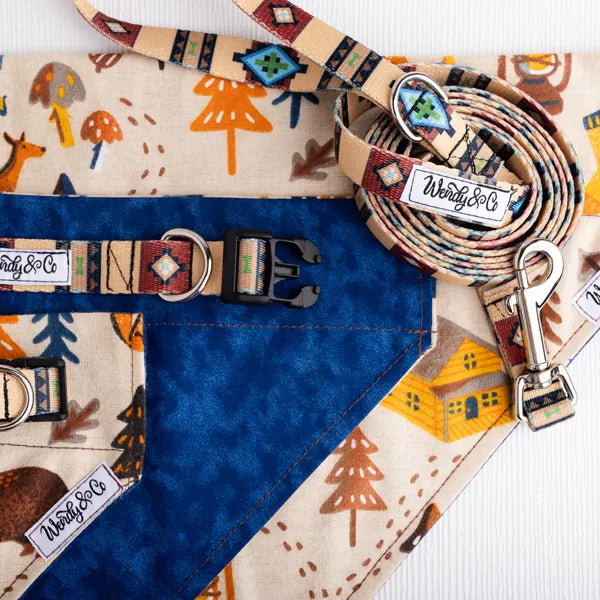 desert moon dog collection leash
