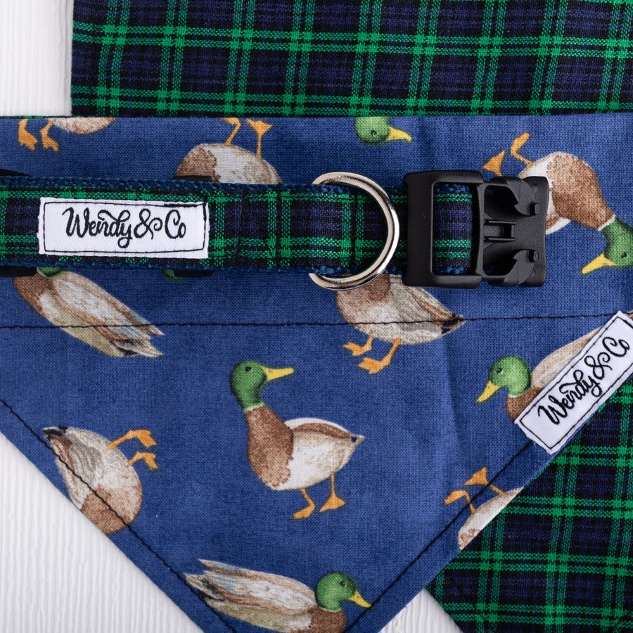 Mallard print dog bandana and collar.