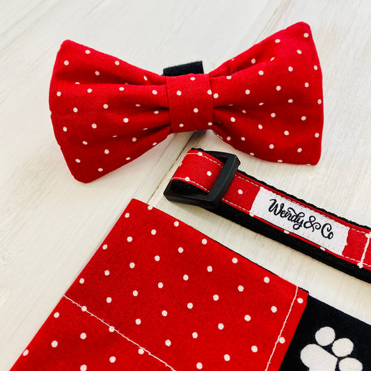 Red polka dot dog collar and matching bow tie.