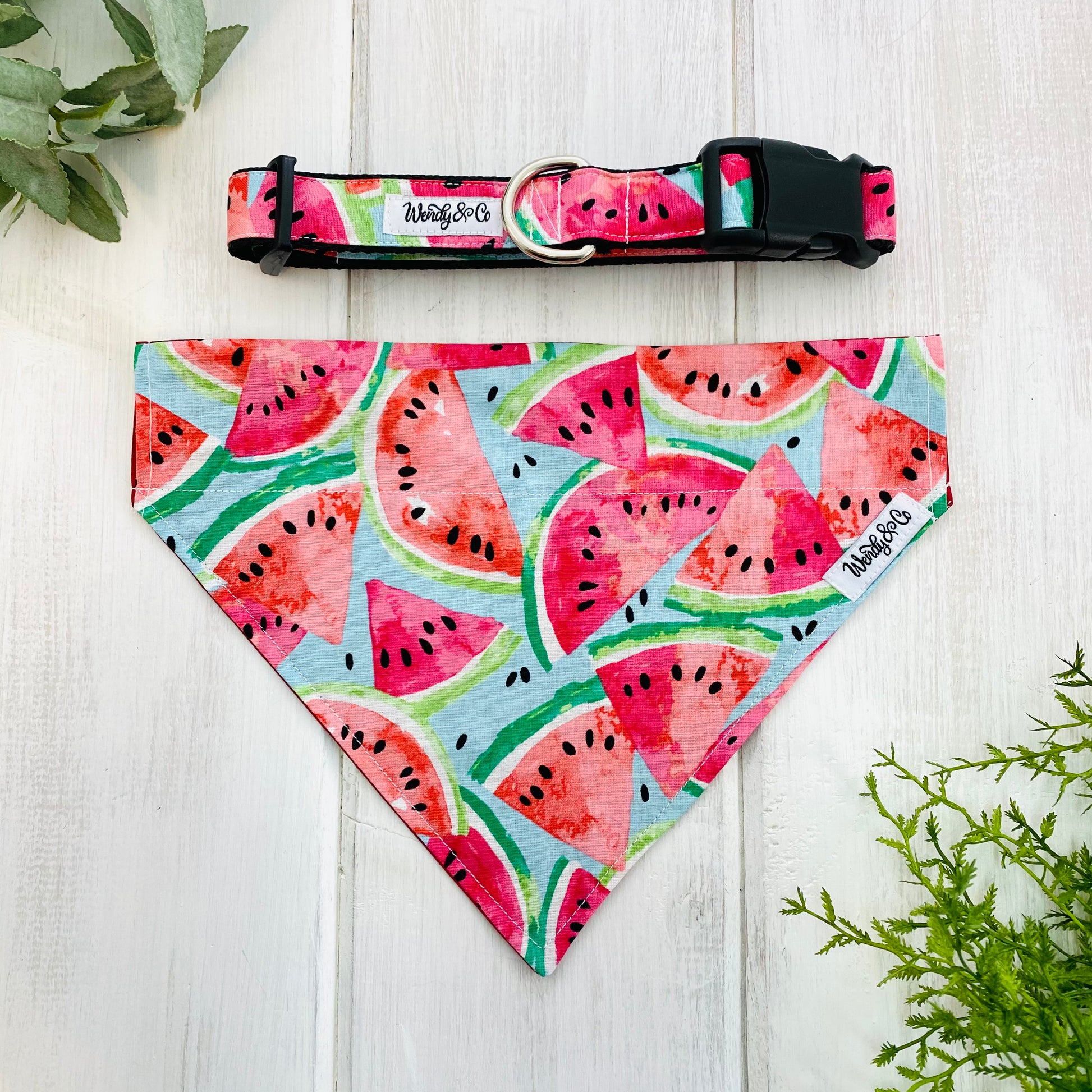 Watermelon print dog collar and bandana.