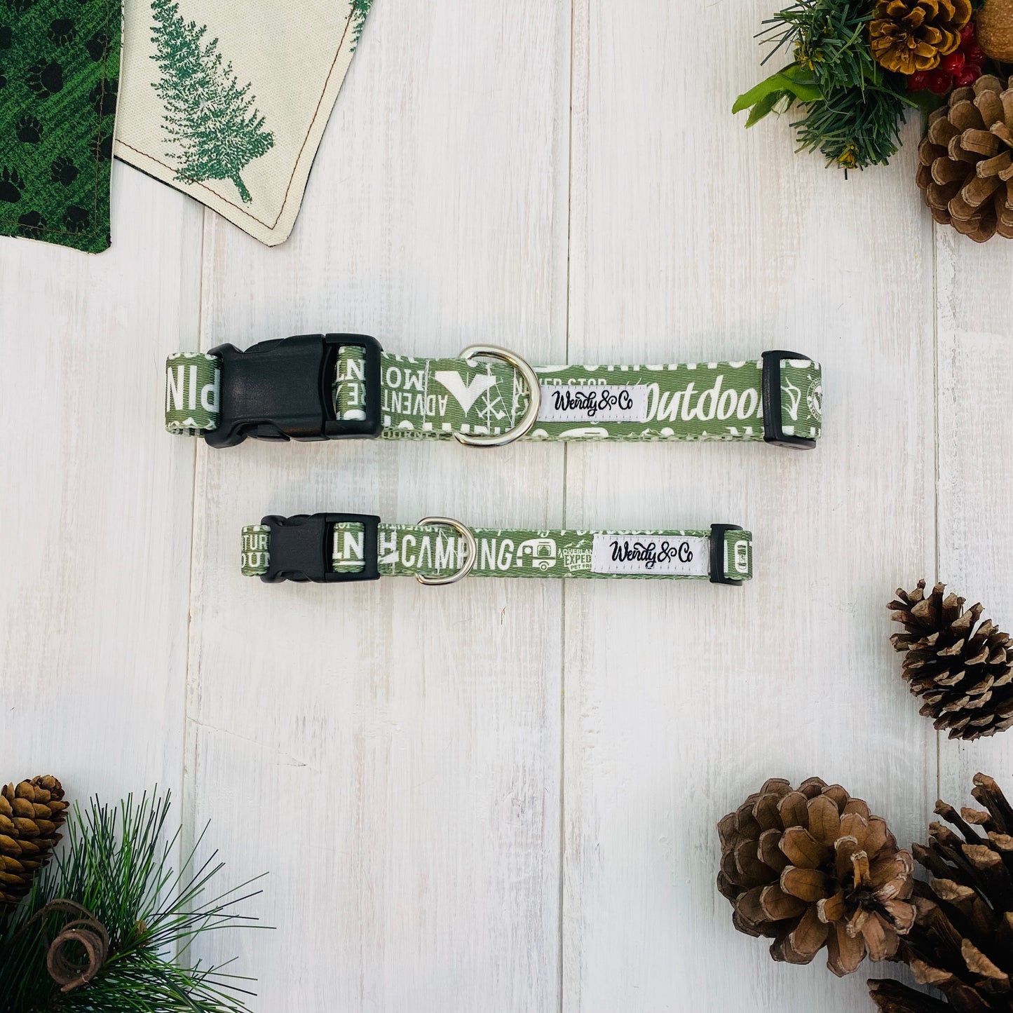 Adventure collar with words- wildlife, camping, outdoor.