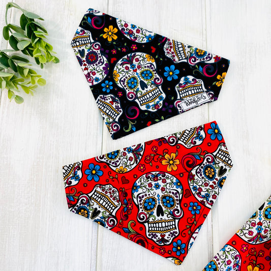 Over-the-collar dog bandana in skull candy print red bandana and also black.