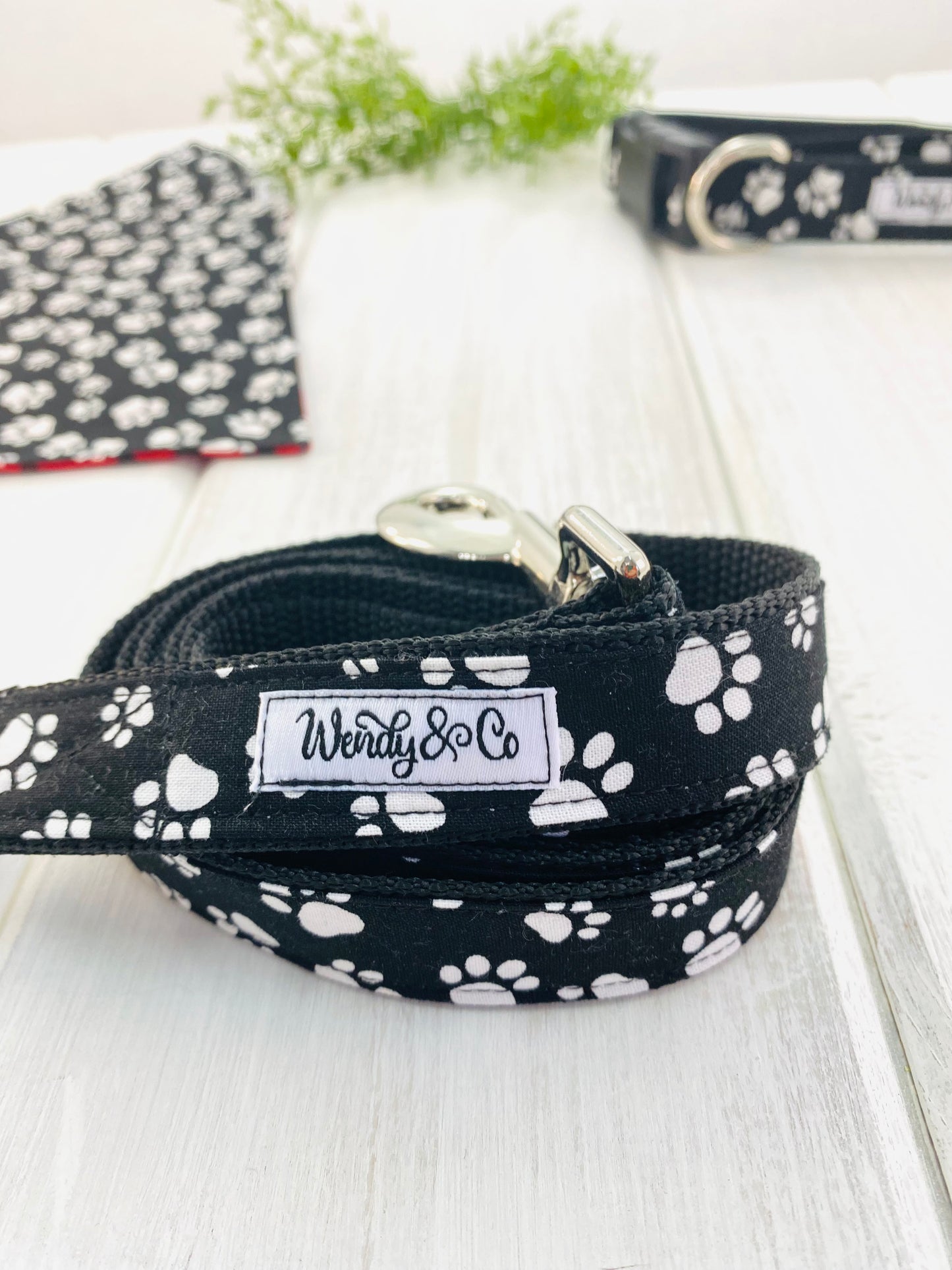 Black with white paws leash for large dogs.
