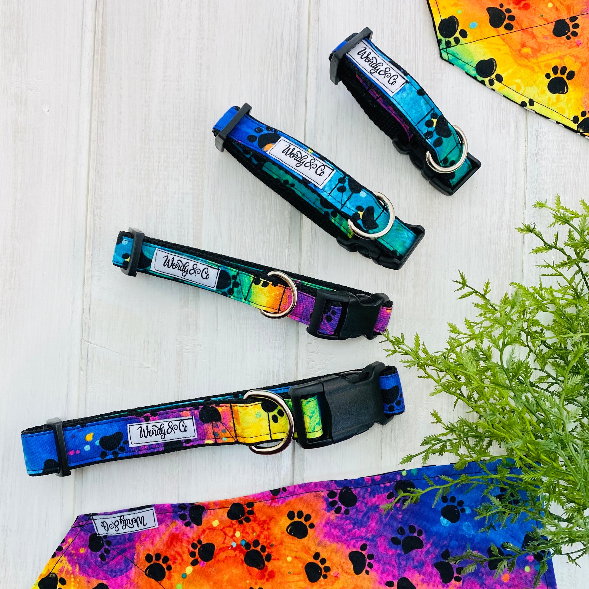 Extra small to extra large dog collars in rainbow tie dye print.