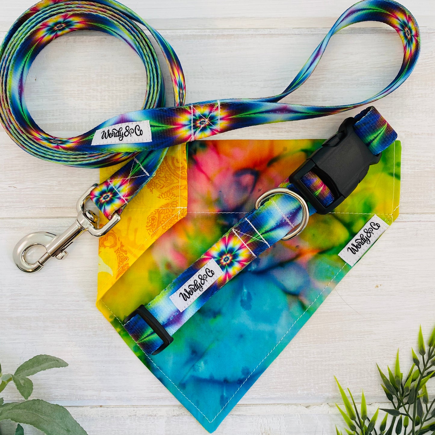 Bright tie dye collar, leash and bandana for dogs.