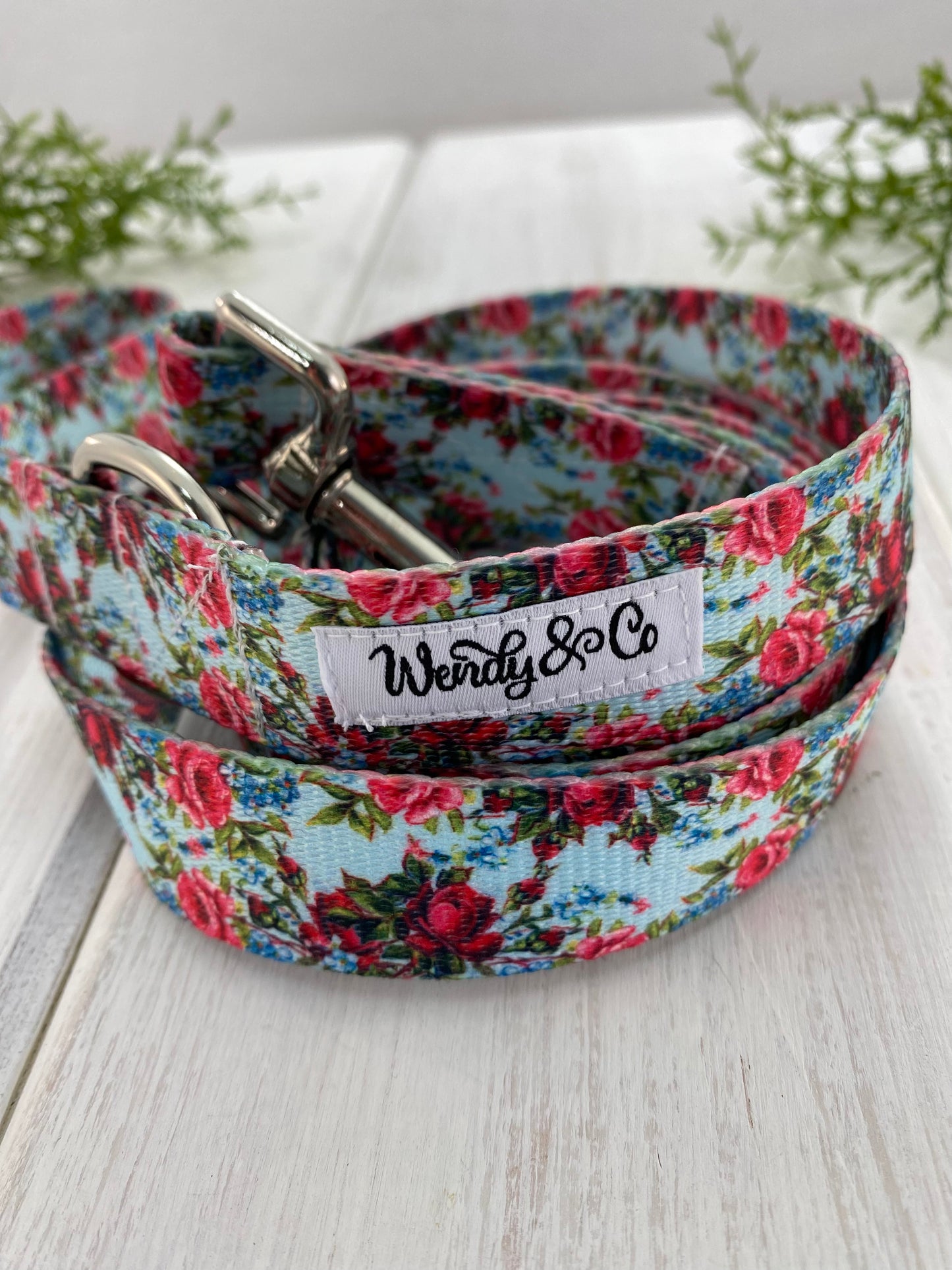 Dog leash in red roses with blue background.